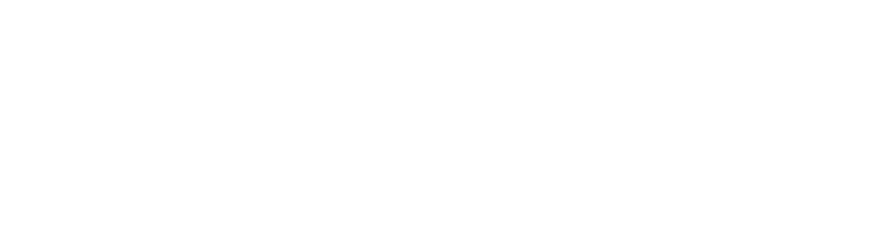 Magellan Jets