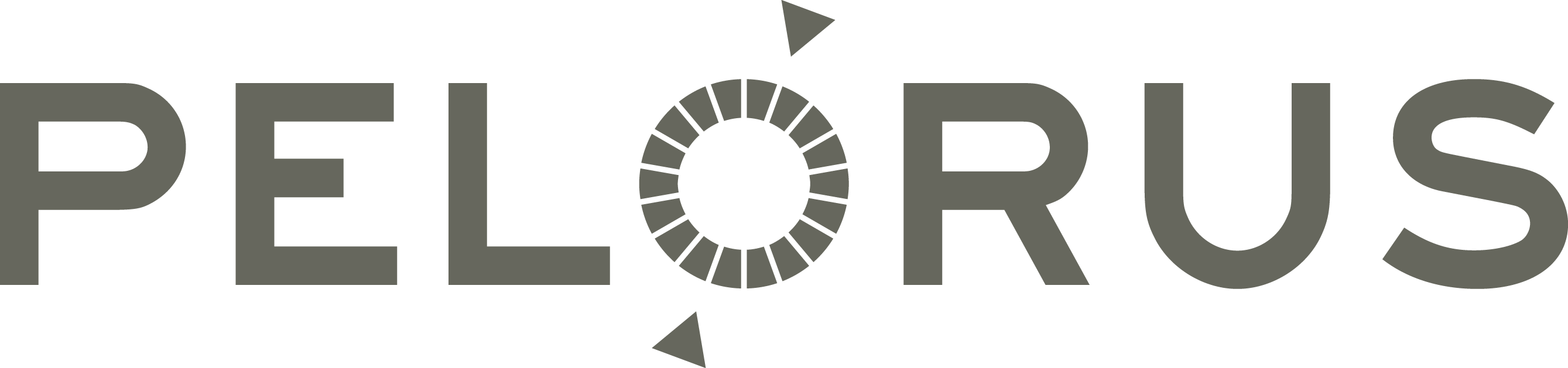 Pelorus